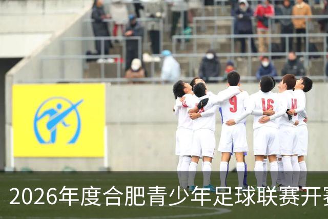 2026年度合肥青少年足球联赛开赛